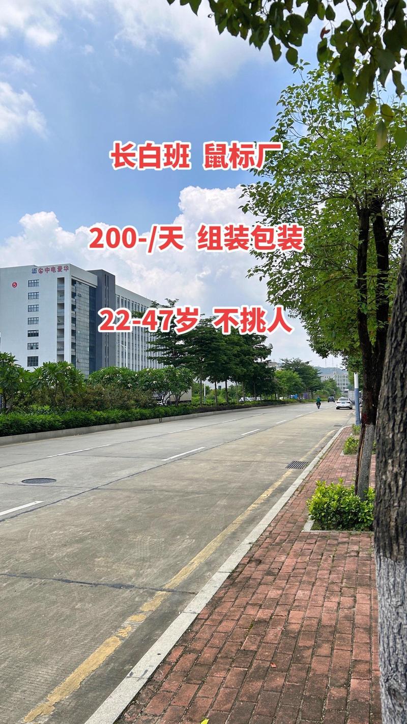 信息咨询服务 为打工人搭建求职桥梁，让找工作更简单