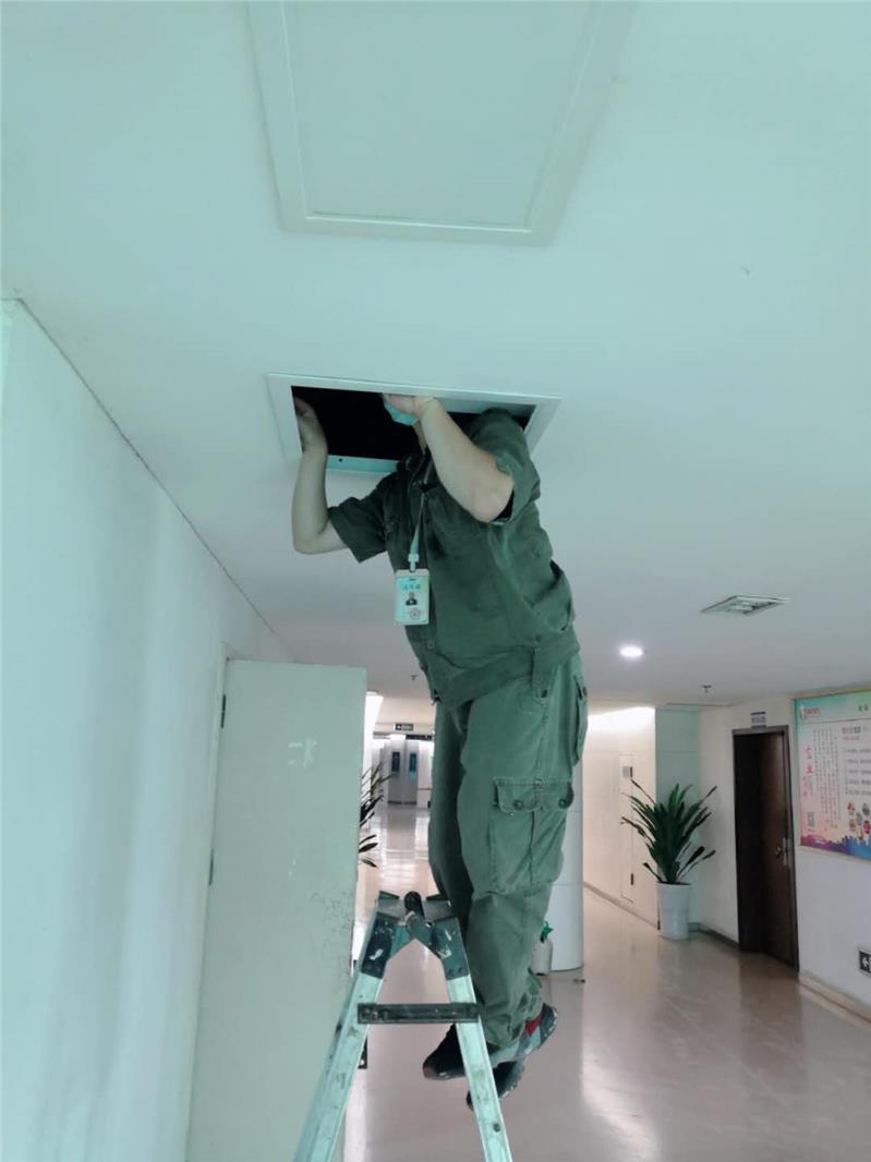 广汉工厂灭鼠服务咨询指南 保障生产环境安全的专业方案